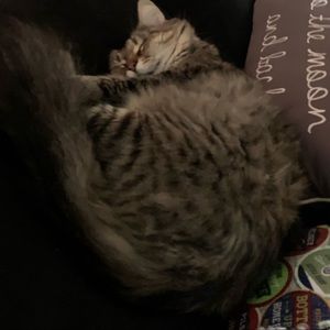 Meet your Posher, Helena